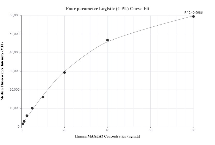 Cytometric bead array standard curve of MP00467-1, MAGEA3 Recombinant Matched Antibody Pair, PBS Only. Capture antibody: 83480-3-PBS. Detection antibody: 83480-2-PBS. Standard: Ag0265. Range: 0.625-80 ng/mL.  